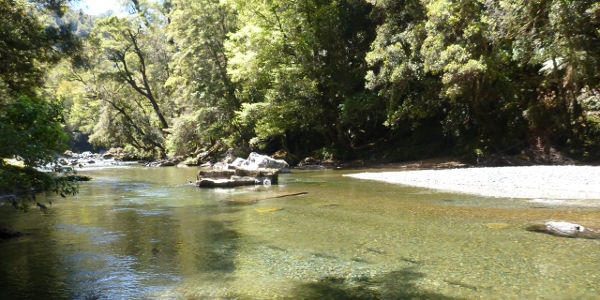New Zealand Fly Fishing Trips - Quad Bike back Country option